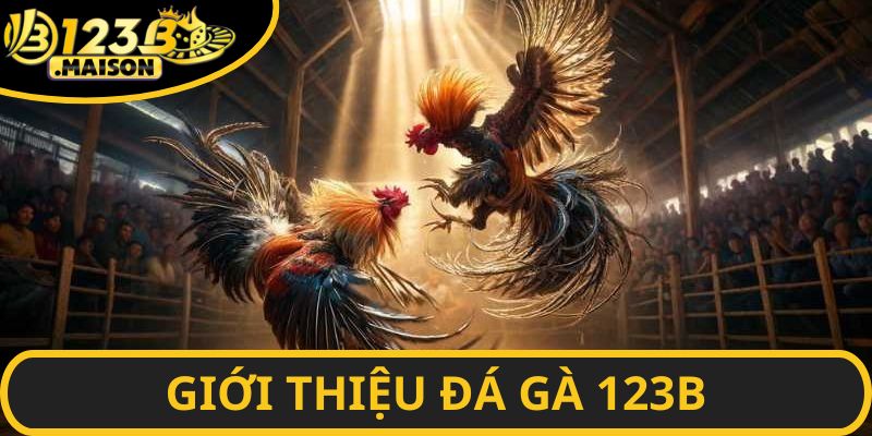 Đôi nét về sảnh cá độ đá gà 123B