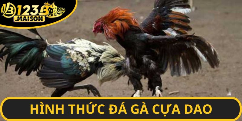 Các loại hình cá cược trong đá gà cựa dao
