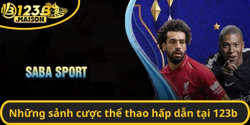 Những sảnh cược thể thao hấp dẫn tại 123B