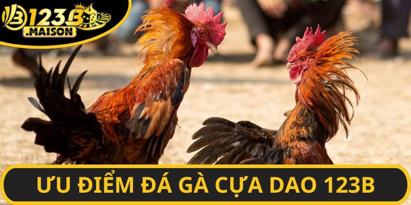 Những ưu điểm nổi bật giúp khách hàng chọn tin tưởng nhà cái